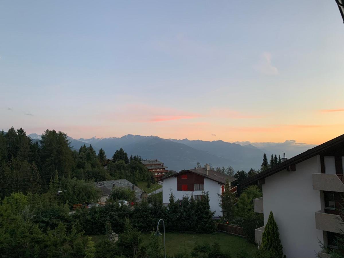 La Jacinthe De Crans Διαμέρισμα Εξωτερικό φωτογραφία