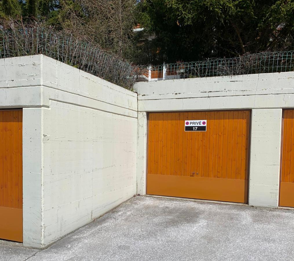 La Jacinthe De Crans Διαμέρισμα Εξωτερικό φωτογραφία